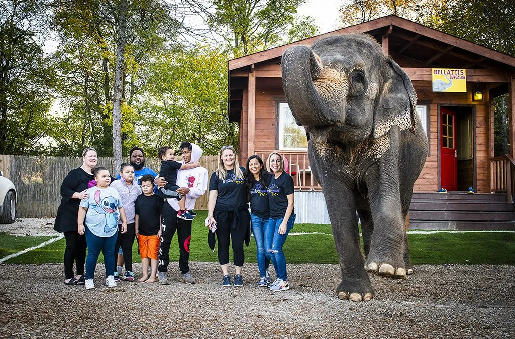 Children and Elephants Never Forget