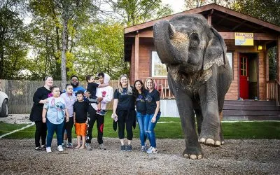 Children and Elephants Never Forget